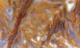 Bull Canyon 392