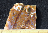 Bull Canyon 392