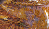 Bull Canyon 349