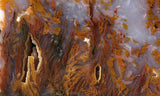 Bull Canyon 359