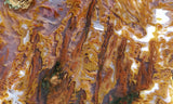 Bull Canyon 363