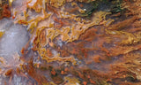 Bull Canyon 367