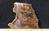 Bull Canyon 367