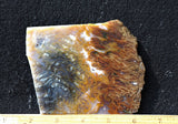Bull Canyon 353