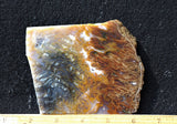 Bull Canyon 353