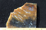 Bull Canyon 371