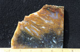 Bull Canyon 371