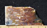 Bull Canyon 374