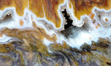Bull Canyon 381