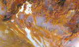 Bull Canyon 361