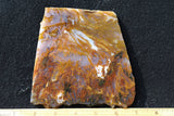 Bull Canyon 361