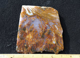 Bull Canyon 377