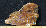 Bull Canyon 372