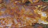 Bull Canyon 372