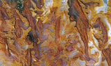 Bull Canyon 372