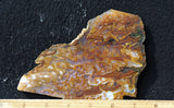 Bull Canyon 372