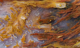 Bull Canyon 384