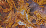 Bull Canyon 386