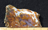 Bull Canyon 386