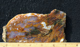 Bull Canyon 355