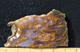 Bull Canyon 352