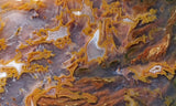 Bull Canyon 352