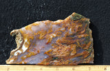 Bull Canyon 352