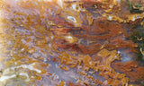 Bull Canyon 391