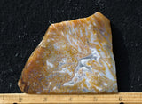 Bull Canyon 397