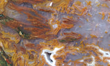 Bull Canyon 358