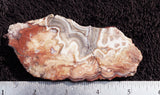 Mexican Crazy Lace Agate Rock Slab 416