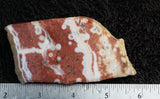 Ocean Jasper Rock slab 69