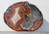 Brazilian Agate Polished Rock slab 0041