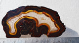 Brazilian Agate Polished Rock slab 0046