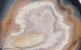 Brazilian Agate Polished Rock Slab 198