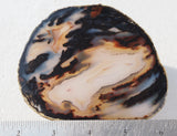 Brazilian Agate Polished Rock Slab 190
