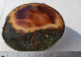 Brazilian Agate Polished Rock Slab 191