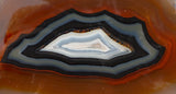 Brazilian Agate Polished Rock slab 0042