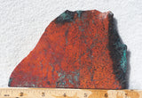 Sonora Sunrise Rock Slab 228