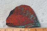 Sonora Sunrise Rock Slab 231