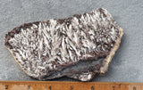 Snowflake Laguna Slab 412
