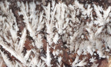 Snowflake Laguna Slab 409
