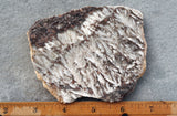 Snowflake Laguna Slab 420