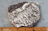 Snowflake Laguna Slab 420