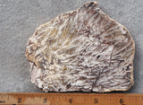 Snowflake Laguna Slab 413