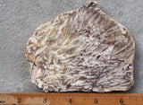 Snowflake Laguna Slab 413