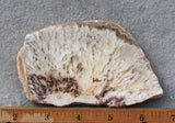 Snowflake Laguna Slab 426