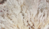 Snowflake Laguna Slab 426