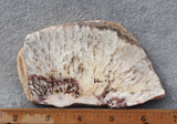 Snowflake Laguna Slab 426