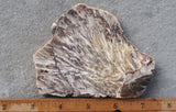 Snowflake Laguna Slab 414
